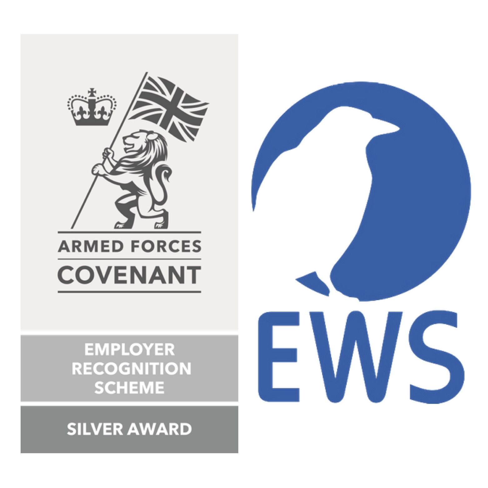 EWS News – Silver ERS 20_sq