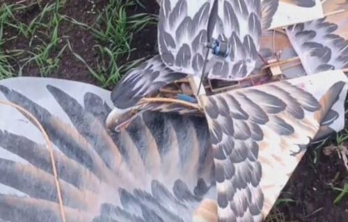 UAV disguised as an eagle found in Ukraine